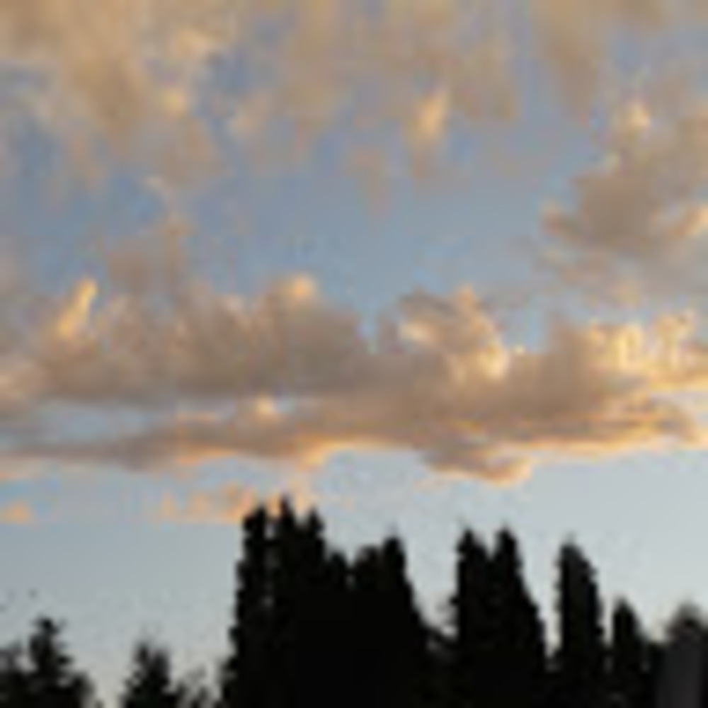 Meet your Posher, Zoe